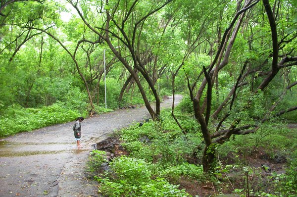CBD Belapur Sector 9 Scrap Dealer